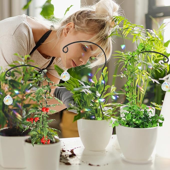 Plant Trellis for Potted Plants - Image 4