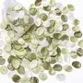 Serwalin 300Pcs Silk Rose Petals Artificial Flower Petals by Serwalin