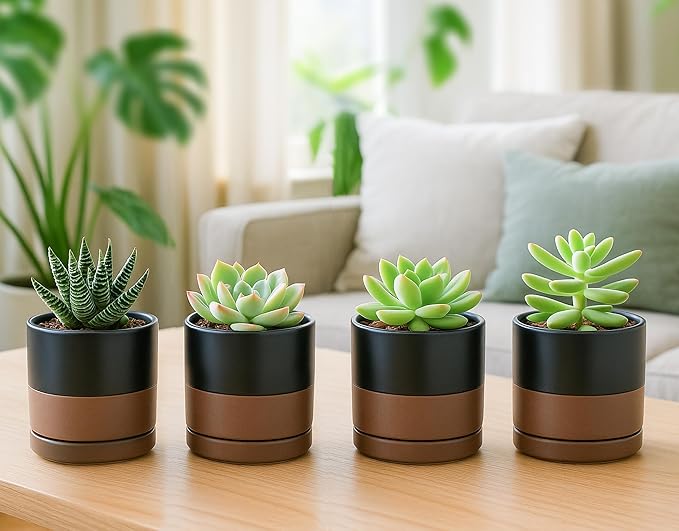 D'vine Dev Set of 4 Small Ceramic Plant Pots, 3.5 Inch Succulent Planter Pot - Image 3