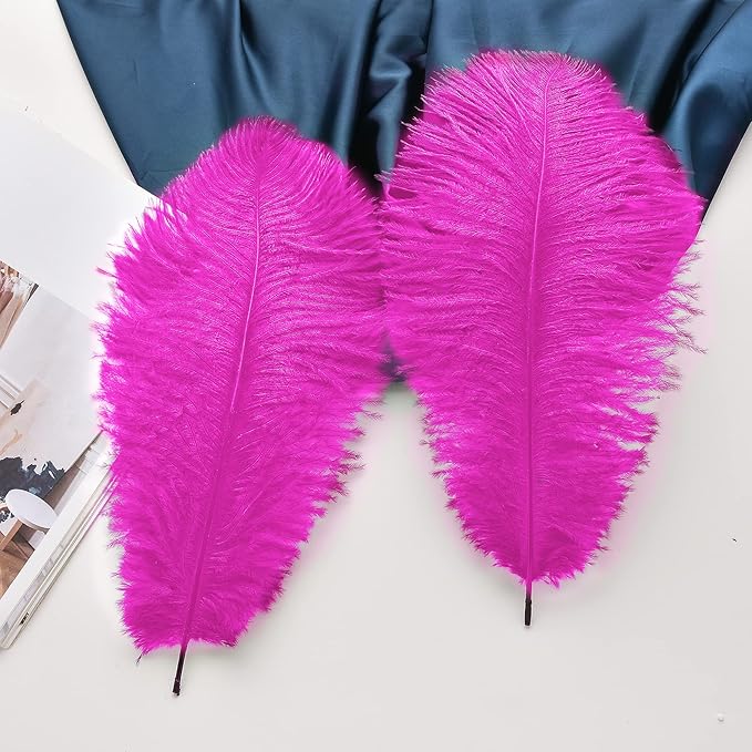 Ballinger Fuchsia Large Ostrich Feathers - Image 4