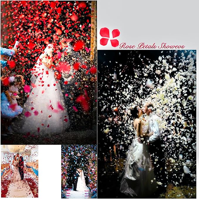 2000 Pcs Black Rose Petals Artificial Flower Petals Silk Black Rose Petals - Image 6