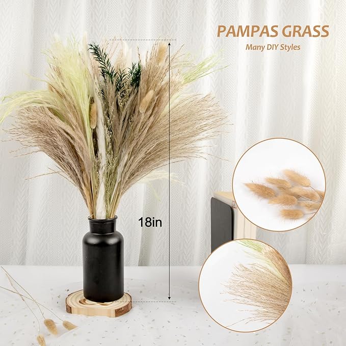N&T NIETING 85 Pcs Green Dried Pampas Grass-White Pompas Grass, Reed Grass - Image 3