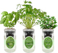 Hydroponic Herb Growing Kit Set, Self-Watering Mason Jar Herb Garden Starter by Environet