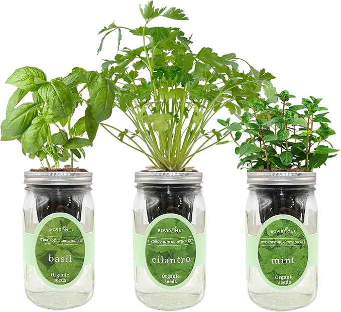 Hydroponic Herb Growing Kit Set, Self-Watering Mason Jar Herb Garden Starter by Environet