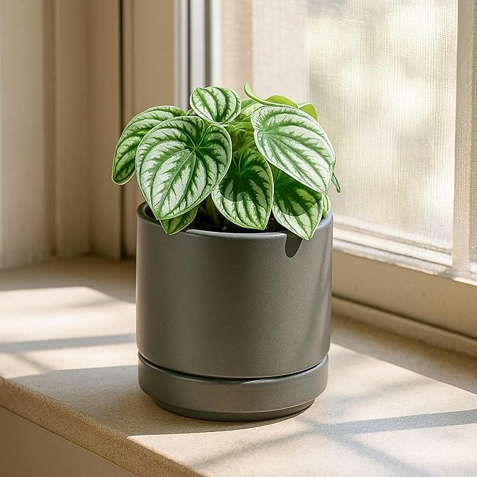 D'vine Dev Set of 4 Small Ceramic Plant Pots, 4.7 Inch Succulent Planter Pot - Image 7