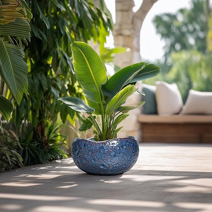 Bonsai Pots - 13 Inch Large Ceramic Planter - Image 4