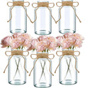 6PCS Transparent Glass Flower Vases by Unknown