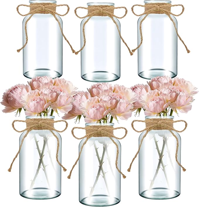 6PCS Transparent Glass Flower Vases by Unknown