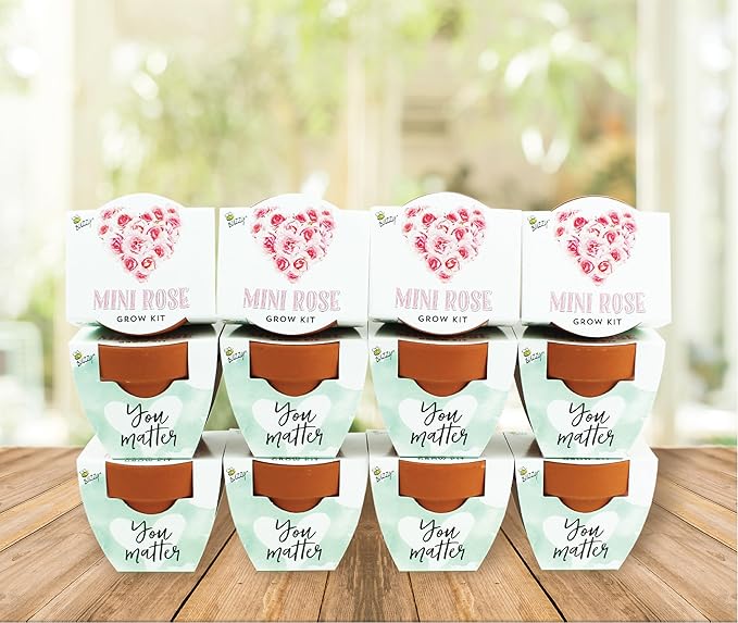 BUZZY Seeds Love Collection Mini Rose Terracotta Grow Pots, Baby Shower Prizes - Image 6