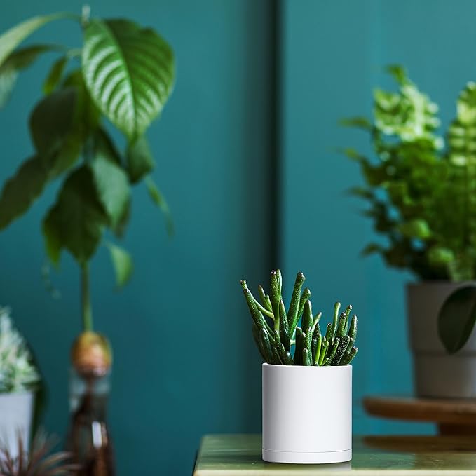 D'vine Dev 12 Pack 3.5 Inch Mini Plastic Plant Pots, Small Garden Planters - Image 6