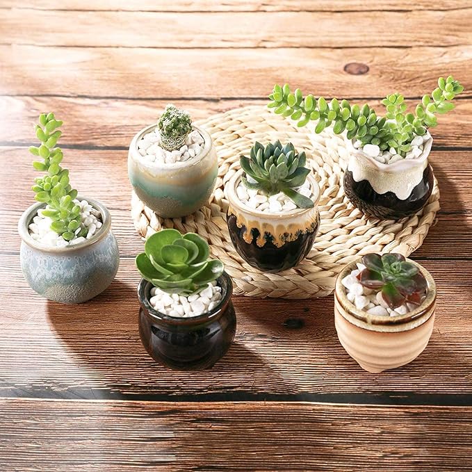 T4U Small Ceramic Succulent Pots - Image 7