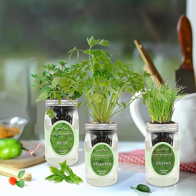 Hydroponic Herb Growing Kit Set, Self-Watering Mason Jar Herb Garden Starter - Image 2