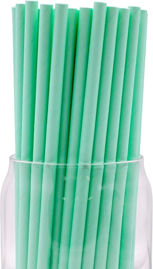 Pack of 300 Pastel Green Biodegradable 4-Ply Paper Drinking Straws by Stephanie+Imports
