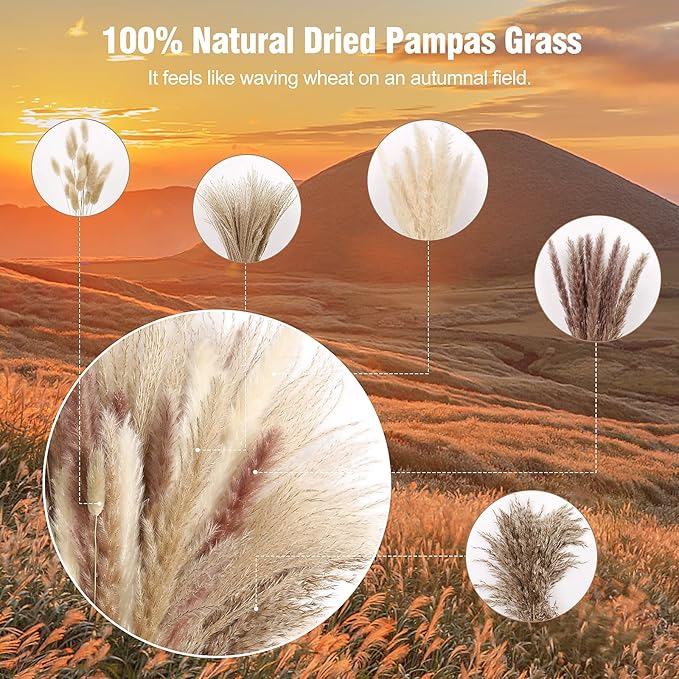 N&T NETING 75Pcs Pampas Grass Decor-10Pcs White Pampas Grass - Image 5