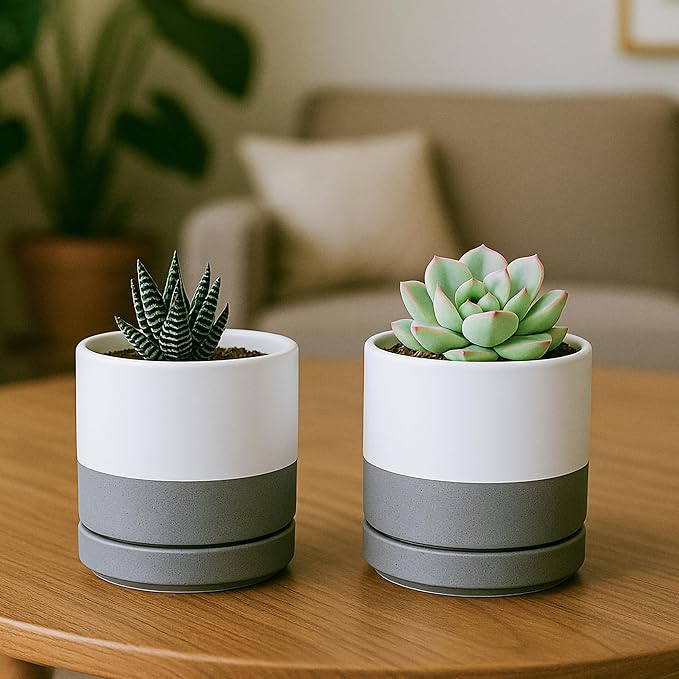 D'vine Dev Set of 4 Small Ceramic Plant Pots, 3.5 Inch Succulent Planter Pot - Image 6