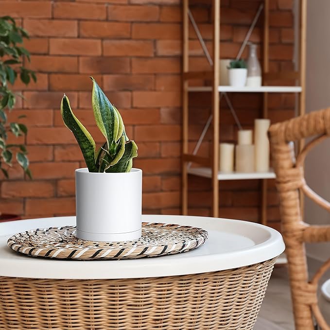 D'vine Dev 4 Pack 6 Inch Modern Plastic Plant Pots, Small Garden Planters - Image 6