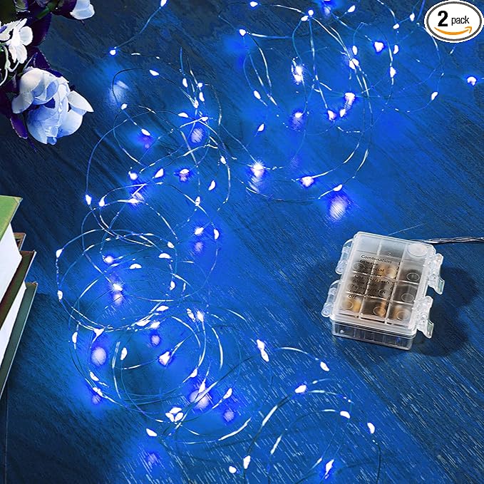 2 Pack 16.4 Ft. Battery Operated Outdoor String Lights by Ariceleo