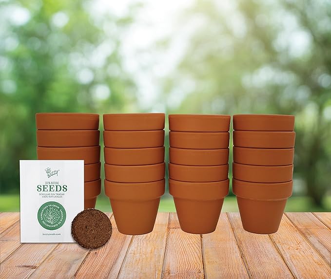BUZZY Seeds Terracotta Mini Grow Pots | Herb, Flower Starter Kit - Image 6