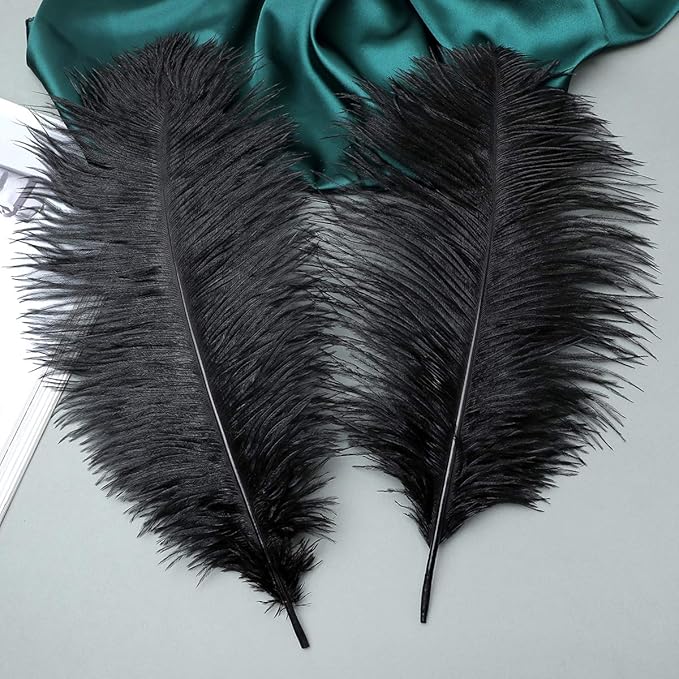 Ballinger Black Large Ostrich Feathers - Image 4