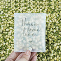 Rainbow Pana 50 Pack Prefilled Confetti Packets | Biodegradable Confetti by RainbowPana
