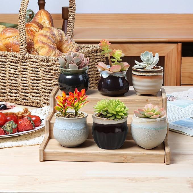 T4U Small Ceramic Succulent Pots - Image 9