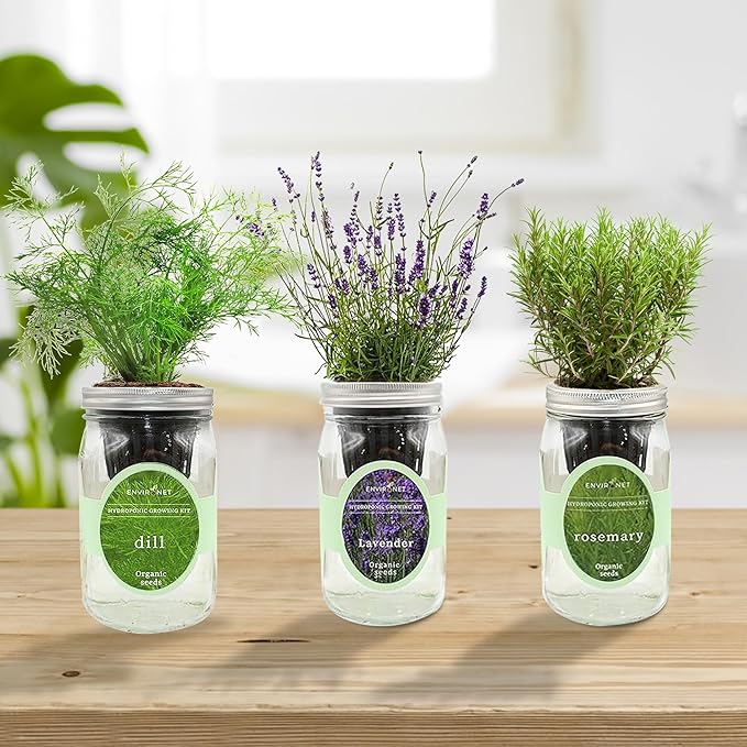 Hydroponic Herb Growing Kit Set, Self-Watering Mason Jar Herb Garden Starter - Image 5