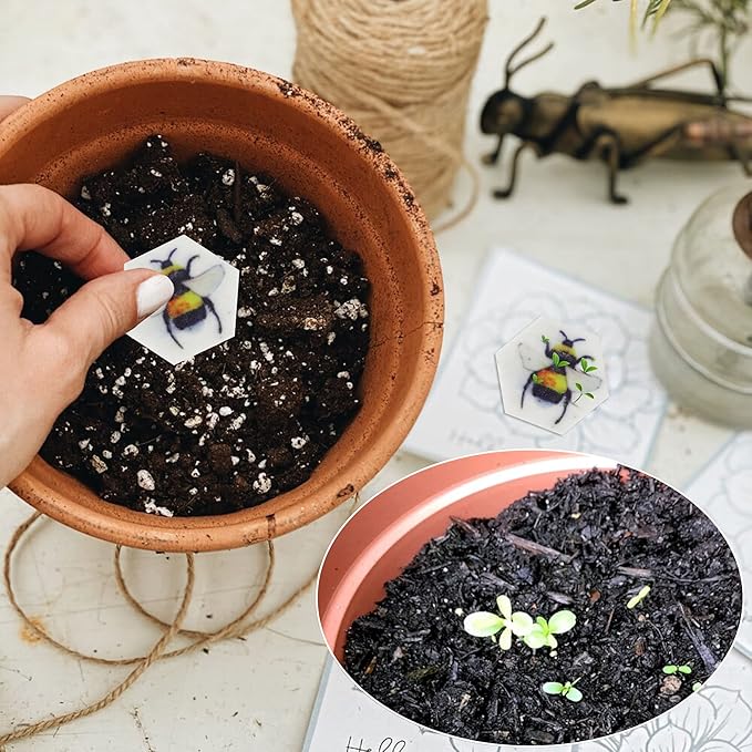 Plantable Wildflower Seed Paper Favors - Image 2