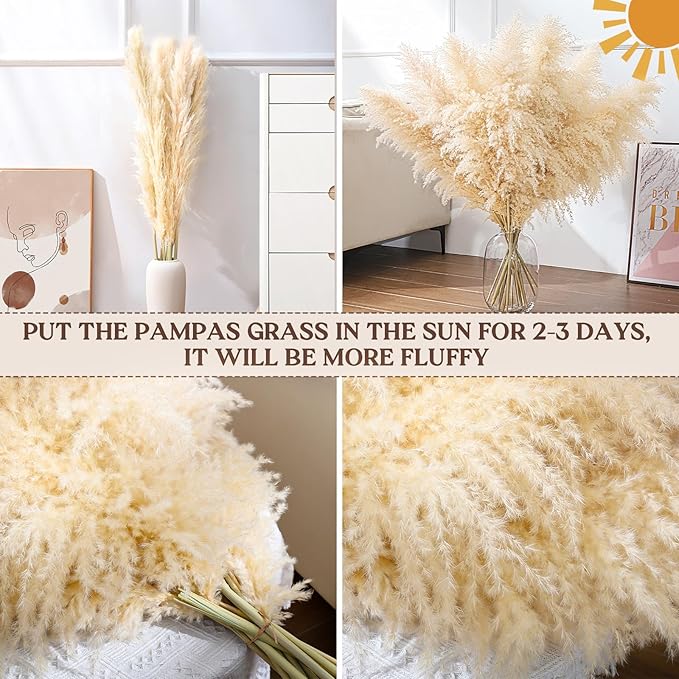 40" 22PCS Dried Pampas Grass Decor Tall, Large Natural Beige pompas Grass Tall - Image 5