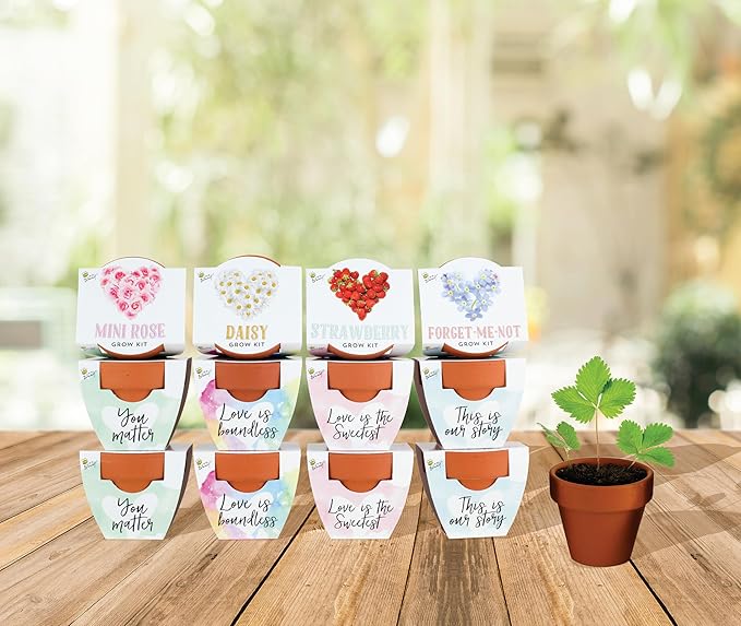 BUZZY Seeds Terracotta Mini Grow Pots Flower Plant Starter Kit – Love - Image 4