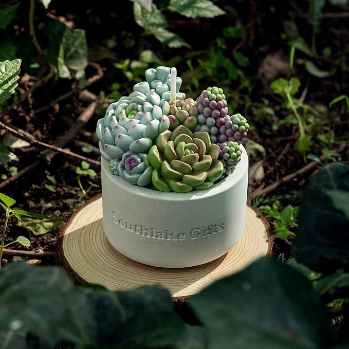 Assorted Succulent Pot Scented Candle - Image 5