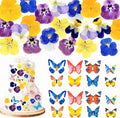 80 Pcs 8 Kinds Natural Real Dried Pressed Edible Flowers & Edible Butterflies by Fangkic