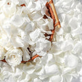 Real Dried Ivory White Rose Petals, Frozen Preserved Petals for, Wedding Party by Eslibin