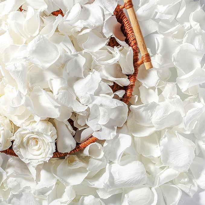 Real Dried Ivory White Rose Petals, Frozen Preserved Petals for, Wedding Party by Eslibin