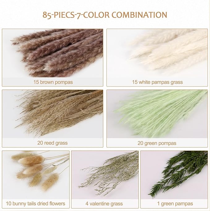 N&T NIETING 85 Pcs Green Dried Pampas Grass-White Pompas Grass, Reed Grass - Image 5