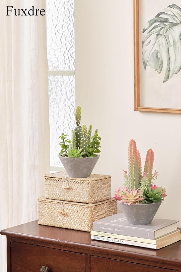2-Pack Artificial Succulent Plants in Vintage Plastic Pots - Image 4