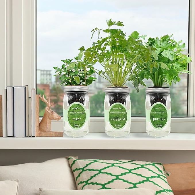 Hydroponic Herb Growing Kit Set, Self-Watering Mason Jar Herb Garden Starter - Image 4