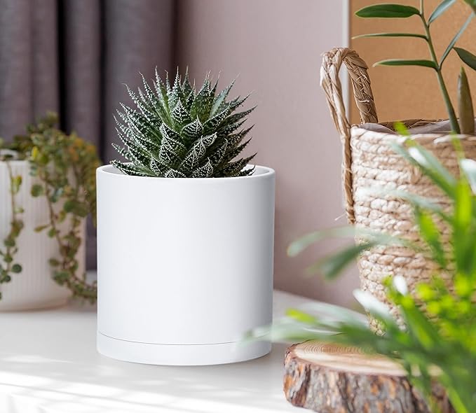 D'vine Dev 2 Pack 4 Inch Modern Plastic Plant Pots, Small Garden Planters - Image 3