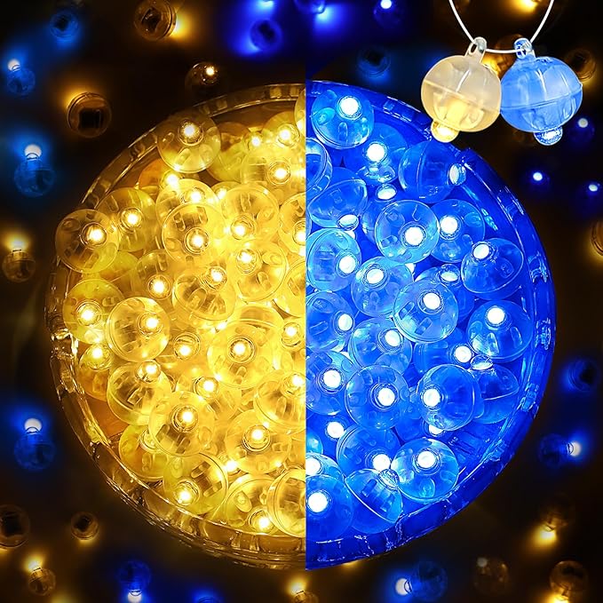 ZGWJ 200Pcs Mini Led Lights by ZGWJ