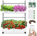 Ahopegarden Indoor Garden Hydroponics Growing System Kit: 60 Pods Vertical by Ahopegarden