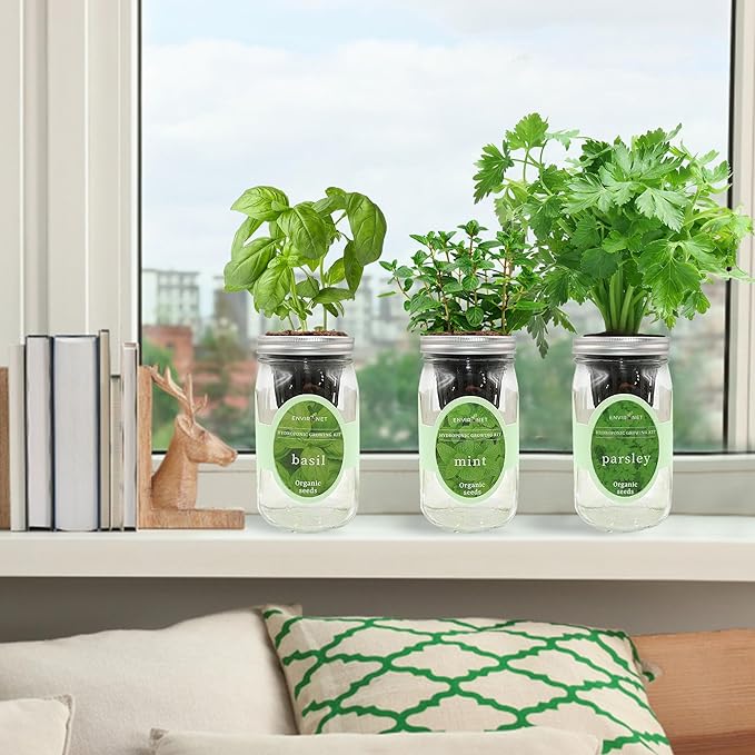 Hydroponic Herb Growing Kit Set, Self-Watering Mason Jar Herb Garden Starter - Image 5