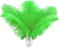 Ballinger Lime Green Ostrich Feathers by Ballinger