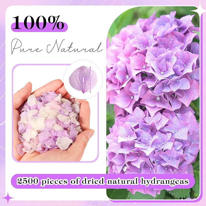 2500 PCS Purple and White Hydrangea Petals 100% Natural Real Flower Petals - Image 2