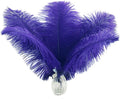 Ballinger Royal Blue Ostrich Feathers by Ballinger