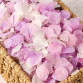 2500 PCS Purple and White Hydrangea Petals 100% Natural Real Flower Petals by VAIPI