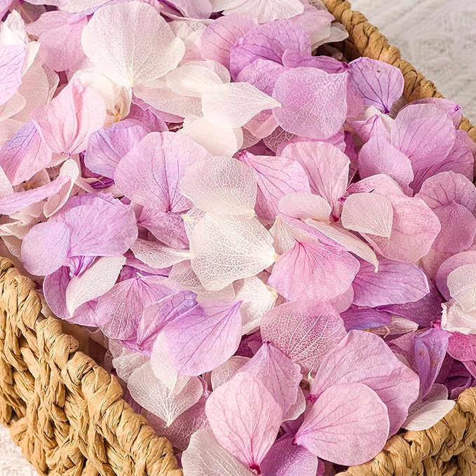 2500 PCS Purple and White Hydrangea Petals 100% Natural Real Flower Petals by VAIPI