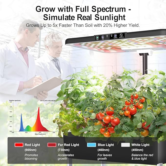 Hydroponics Growing System Indoor Garden - Image 2