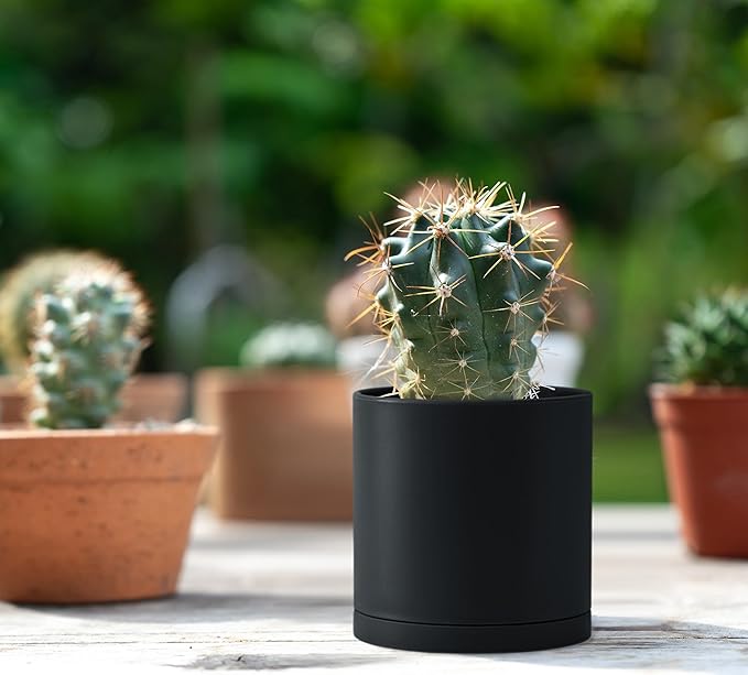 D'vine Dev 12 Pack 3.5 Inch Mini Plastic Plant Pots, Small Garden Planters - Image 7
