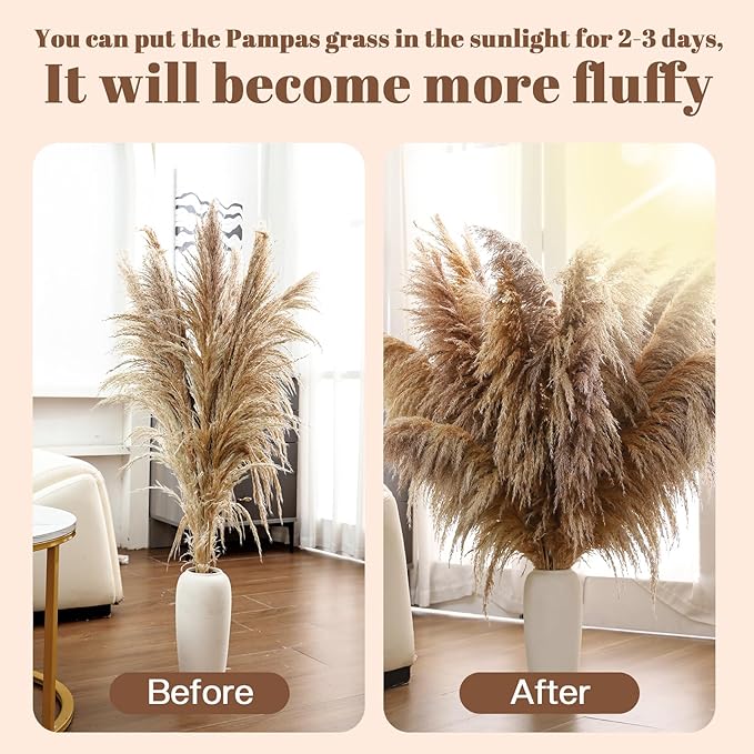 46" inch 11 Stems Natural Pampas Grass Tall Decor, Pompas Grass, Large Borwn - Image 4