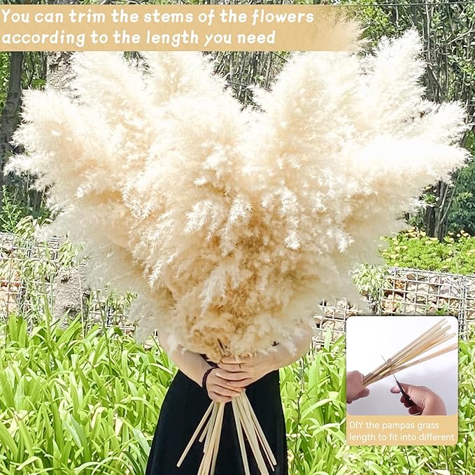 40" 22PCS Dried Pampas Grass Decor Tall, Large Natural Beige pompas Grass Tall - Image 3