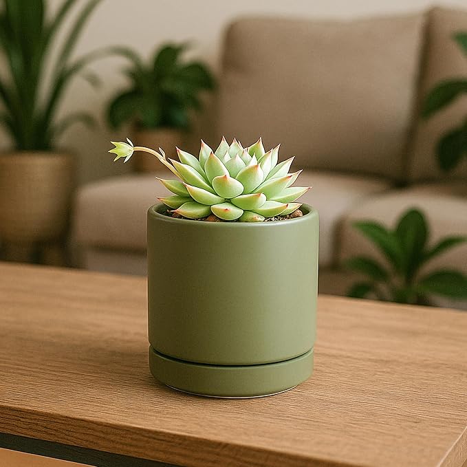 D'vine Dev Set of 4 Small Ceramic Plant Pots, 3.5 Inch Succulent Planter Pot - Image 5